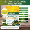 Version 1.0.0 Tabletas micronizadas de Spirulina y Chlorella Sunlit Best