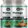 Version 1.0.0 Tabletas moringa con cúrcuma y jengibre suplemento natural 300 pastillas
