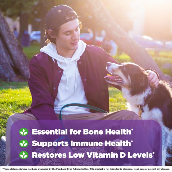 Version 1.0.0 Tabletas Natrol para huesos y articulaciones 5000 UI vitamina D3