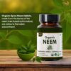 Tabletas neem Azadirachta Indica para piel sana y detox