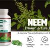 Tabletass naturales Neem y Tulsi vegetales sin aditivos