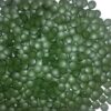 Version 1.0.0 Tabletas prensadas en frío Raw Power chlorella y espirulina orgánicas