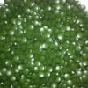 Tabletas puras Chlorella Raw Power 250mg cada una
