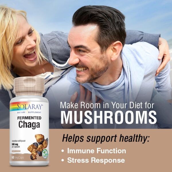Tabletas Solaray chaga fermentado apoyo sistema inmunológico natural