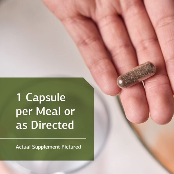 Tabletas Standard Process para apoyo mental y alivio estrés