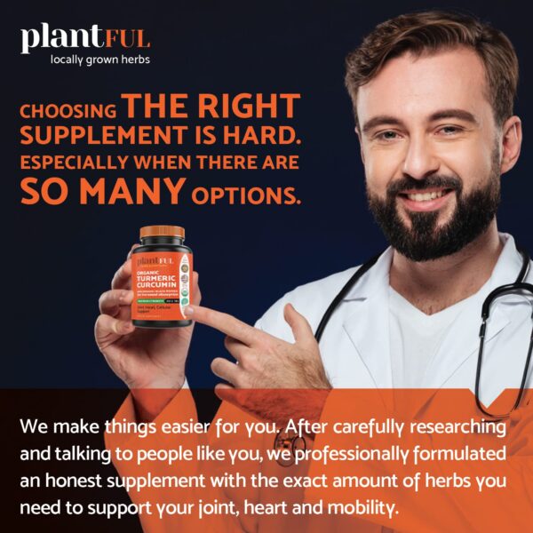 Tabletas veganas de cúrcuma orgánica para apoyo inmunológico