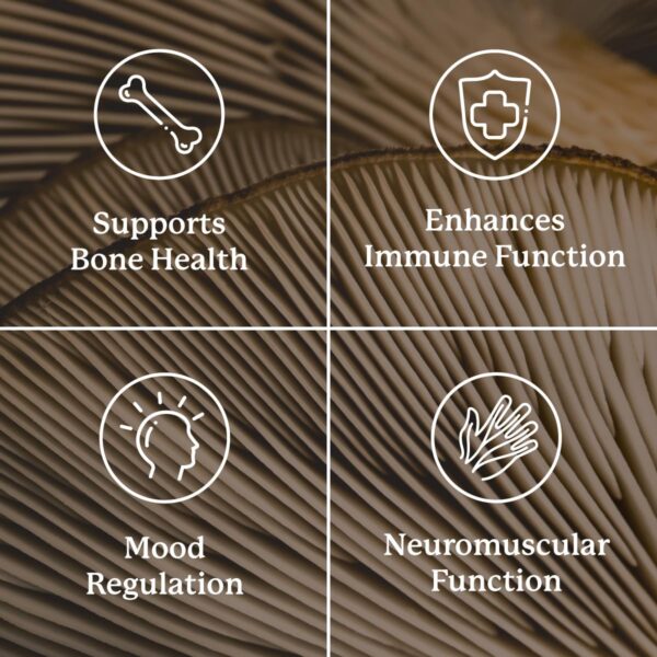 Tabletas vitamina d3 Nature's Sunshine para bienestar