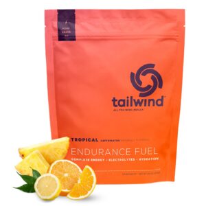 Version 1.0.0 Tailwind Endurance Fuel frasco Tropical Buzz