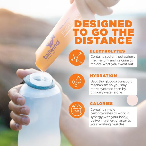 Tailwind Endurance Fuel envase vista lateral