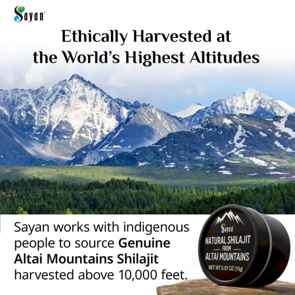 Tarro de resina Shilajit Sayan Pure Altai