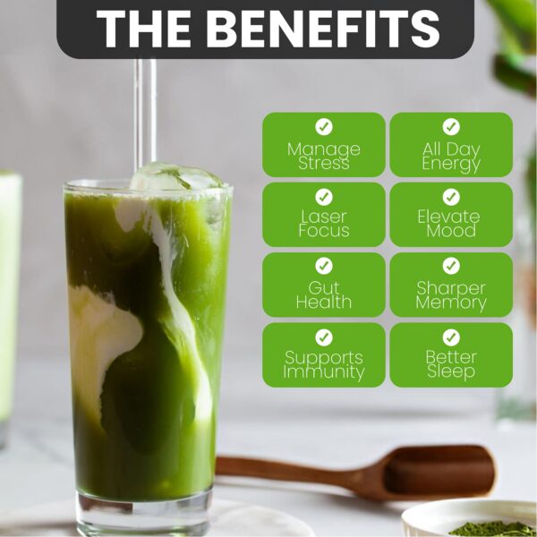 Taza con matcha ceremonial y mezcla en polvo de hongos PowderVitamin