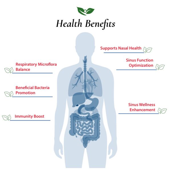 Version 1.0.0 Taza medidora polvo Lactobacillus Sakei saludable