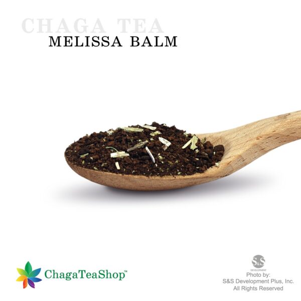 Taza de té con champiñón Chaga Siberiano y bálsamo de melisa