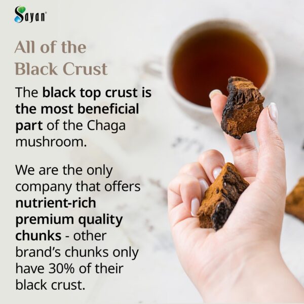 Version 1.0.0 Trozos de Chaga para té antioxidante y soporte inmunológico