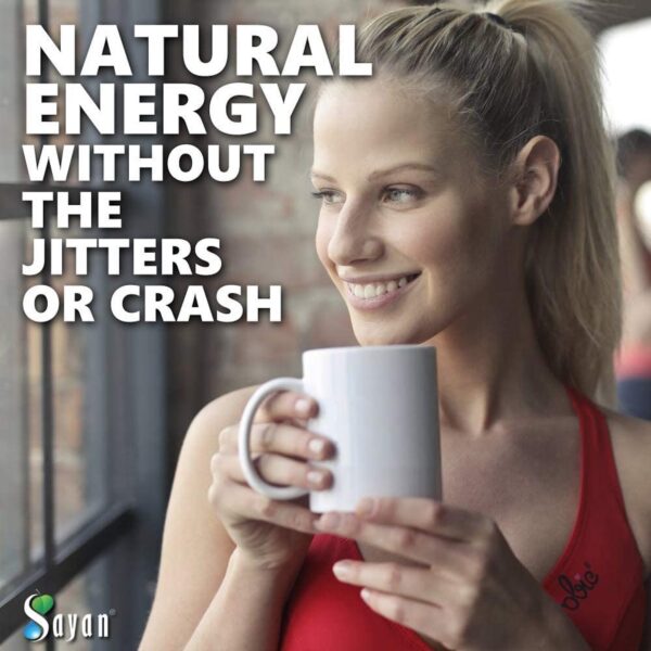 Té de Chaga para inmunidad y energía