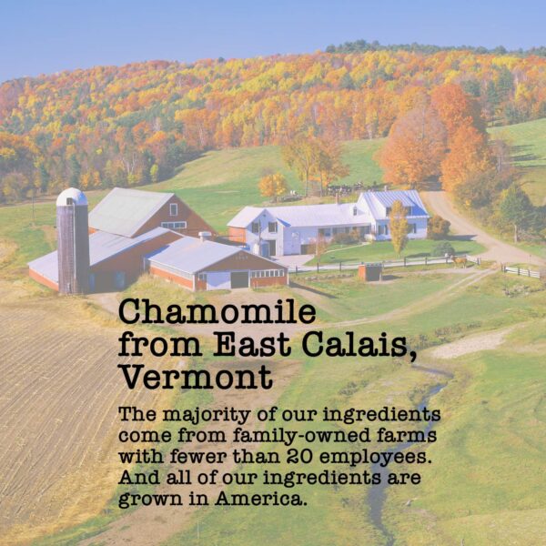 taza con infusión de manzanilla orgánica pura