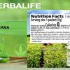 Version 1.0.0 Té natural con cafeína guaraná Herbalife sin calorías