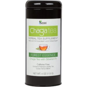 Té premium de hongo chaga con abeto y extracto natural