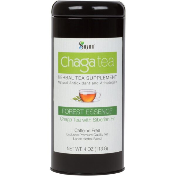 Té premium de hongo chaga con abeto y extracto natural