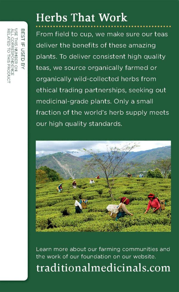 Té Tradicional Medicinals bolsa con etiqueta