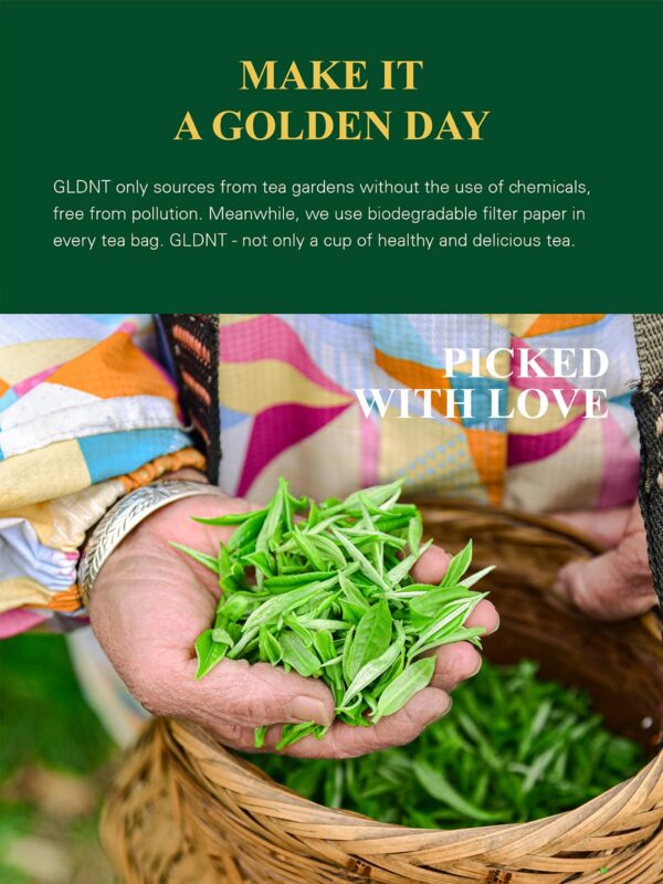 Té verde natural rico en antioxidantes para bienestar diario