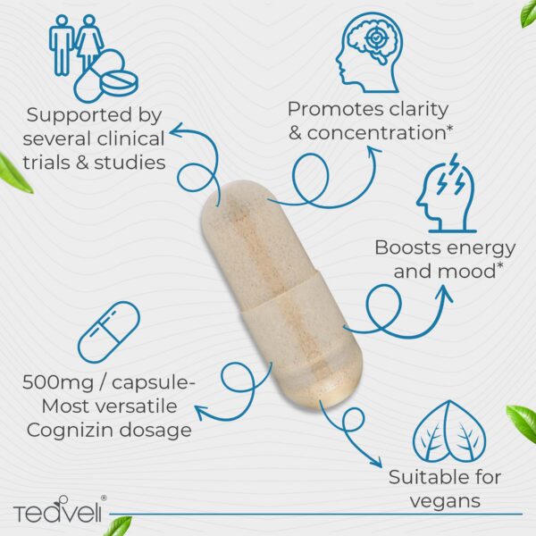 Version 1.0.0 Frasco de Teaveli Cognizin Citicoline