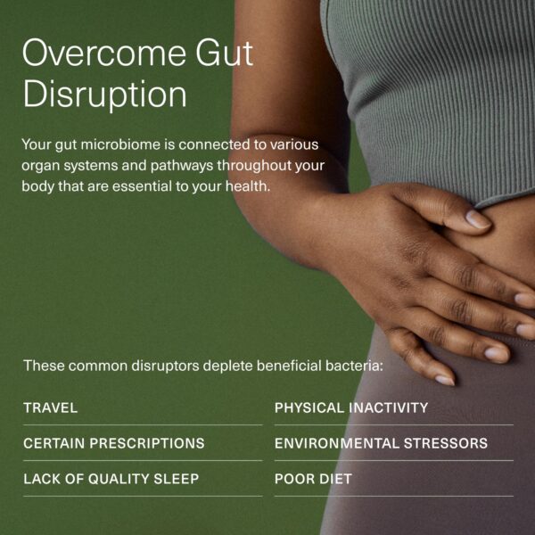 Version 1.0.0 Tecnología cápsula en cápsula Seed para proteger probióticos intestinales