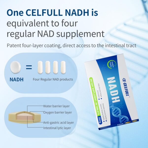 Tecnología de recubrimiento cuatro capas CELFULL NADH