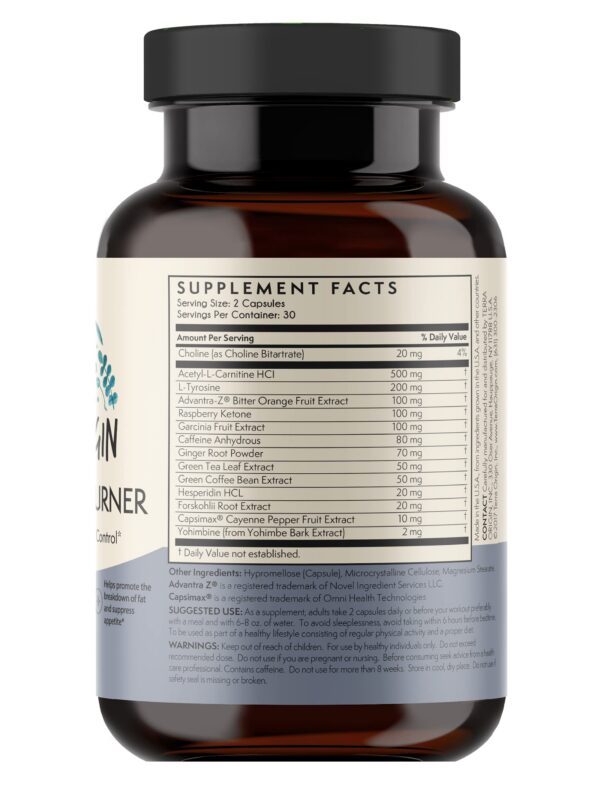 Version 1.0.0 Detalle de la etiqueta Terra Origin Metabolismo