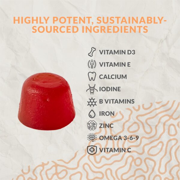 Version 1.0.0 Terraseed multivitaminas niños empaque biodegradable