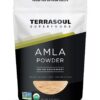 Terrasoul amla polvo orgánico frontal