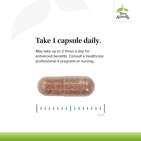 Terry Naturally OPC 300 mg 60 cápsulas blandas para salud
