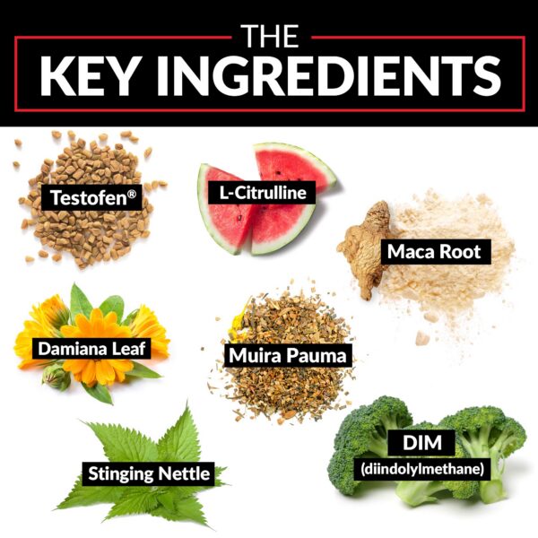 Detalle de etiqueta Test X180 Alpha