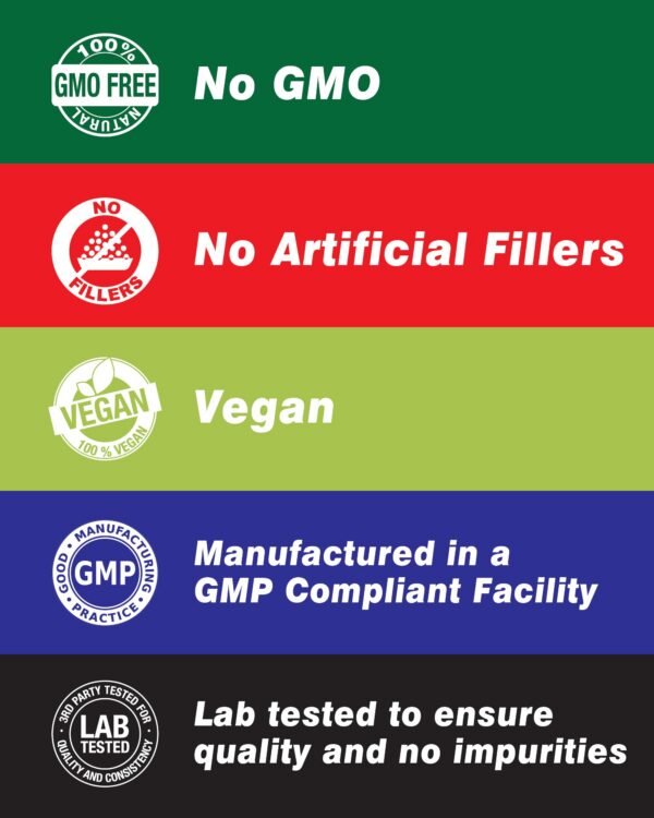 Version 1.0.0 Cápsulas de tiamina 500 mg Vitamatic