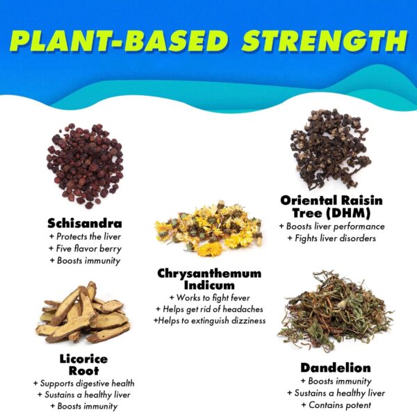 Bebida detox The Plug hidrata y soporta el sistema inmune