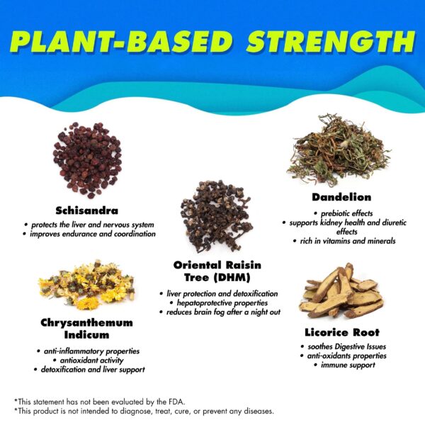 Version 1.0.0 The Plug bebida energética saludable para hígado paquete de 2