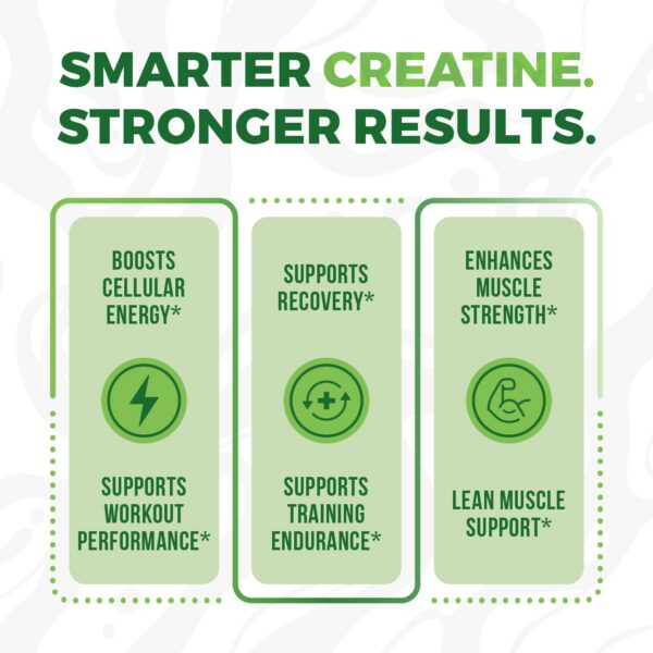 Version 1.0.0 Empaque exterior con bolsa práctica