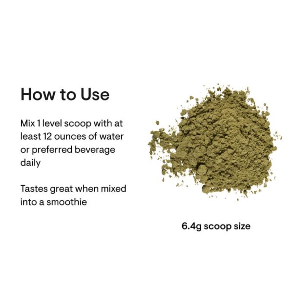 Daily Greens Plus ingredientes