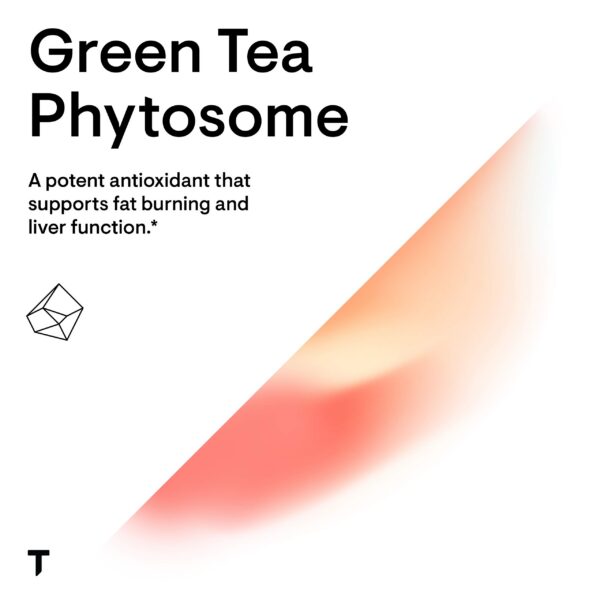 Glóbulo de la tecnología fitosoma en THORNE té verde cápsulas