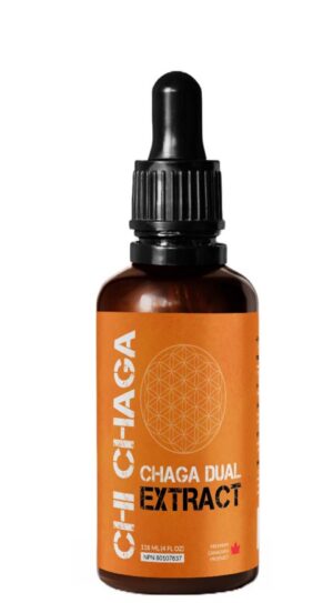 Version 1.0.0 Tinctura de extracto dual de hongo Chaga en botella de 118 ml