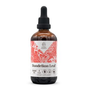 Tinctura natural hoja diente de león sin alcohol botella 4oz