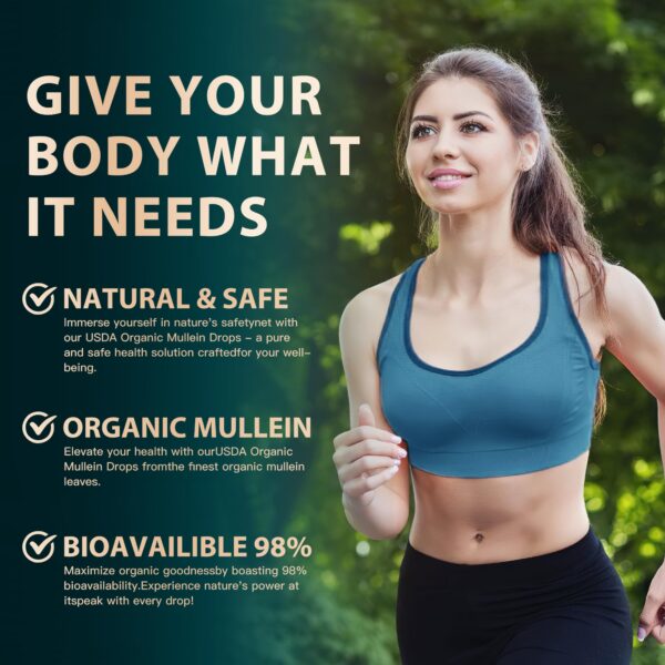 Version 1.0.0 Tinctura sin alcohol Mullein para apoyo respiratorio natural