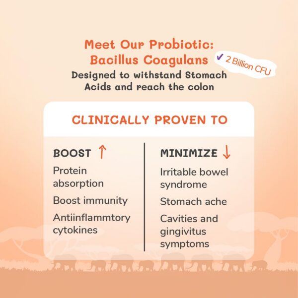 Version 1.0.0 Etiqueta del producto probiotico para niños