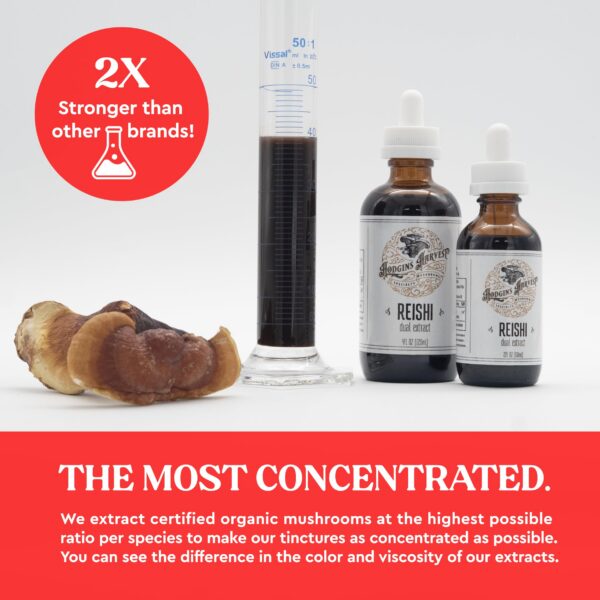 Tintura concentrada de hongos Reishi cultivo orgánico USA Hodgins