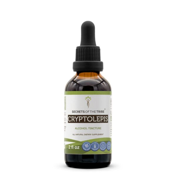 Botella de tintura de Cryptolepis Sanguinolenta alta potencia 2 oz