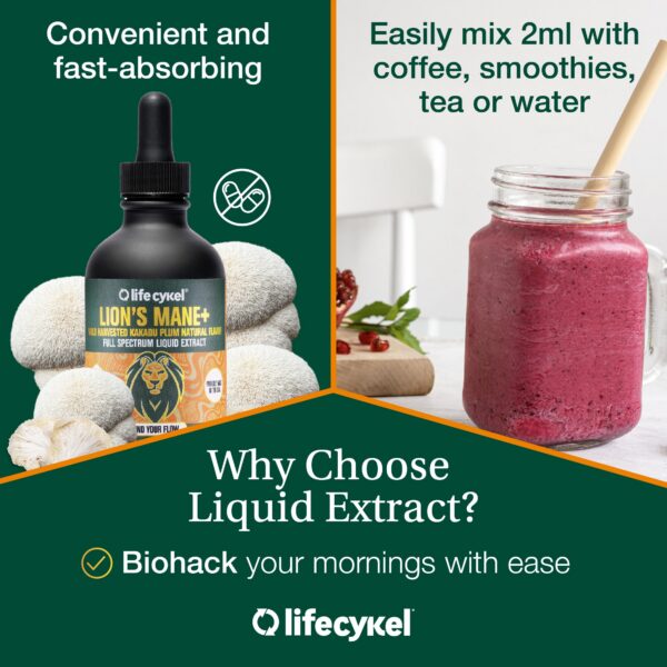 Tinturalarga frascos hongos extracto lifecykel 3 botellas