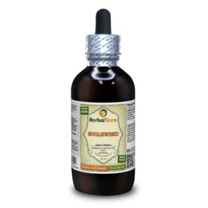 Tintura líquida Bugleweed 4 oz Herbal Terra