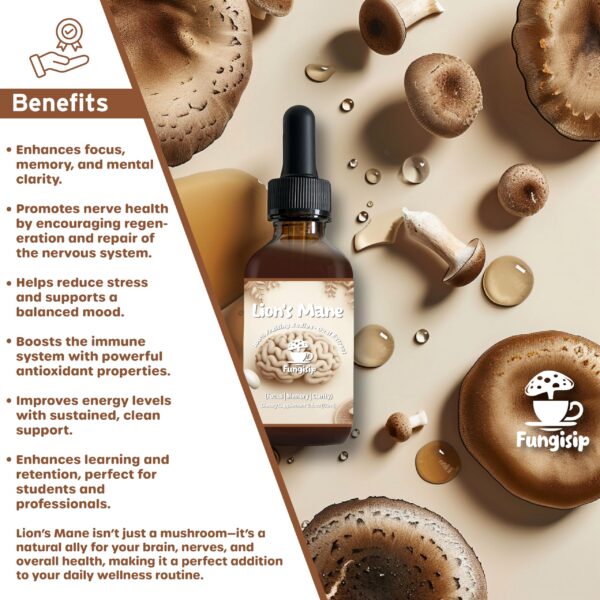 Tintura liquida Lion’s Mane FUNGISIP base alcohol organico