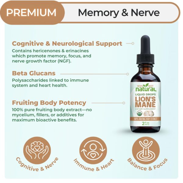 Version 1.0.0 Tintura de Melena de León orgánica para apoyo nervioso