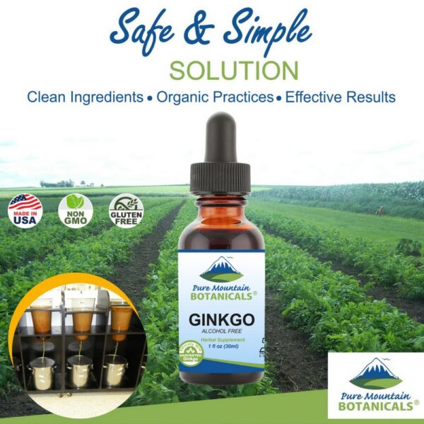 Tintura natural y concentrada de hoja de ginkgo biloba